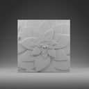 BLOOM 0123